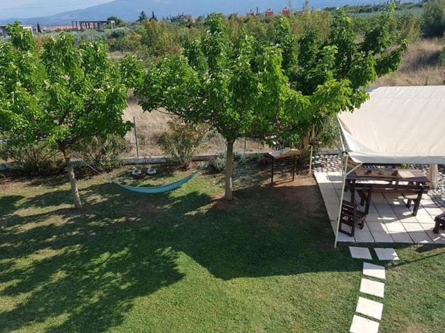 Cozy Villa Litochoro Zewnętrze zdjęcie