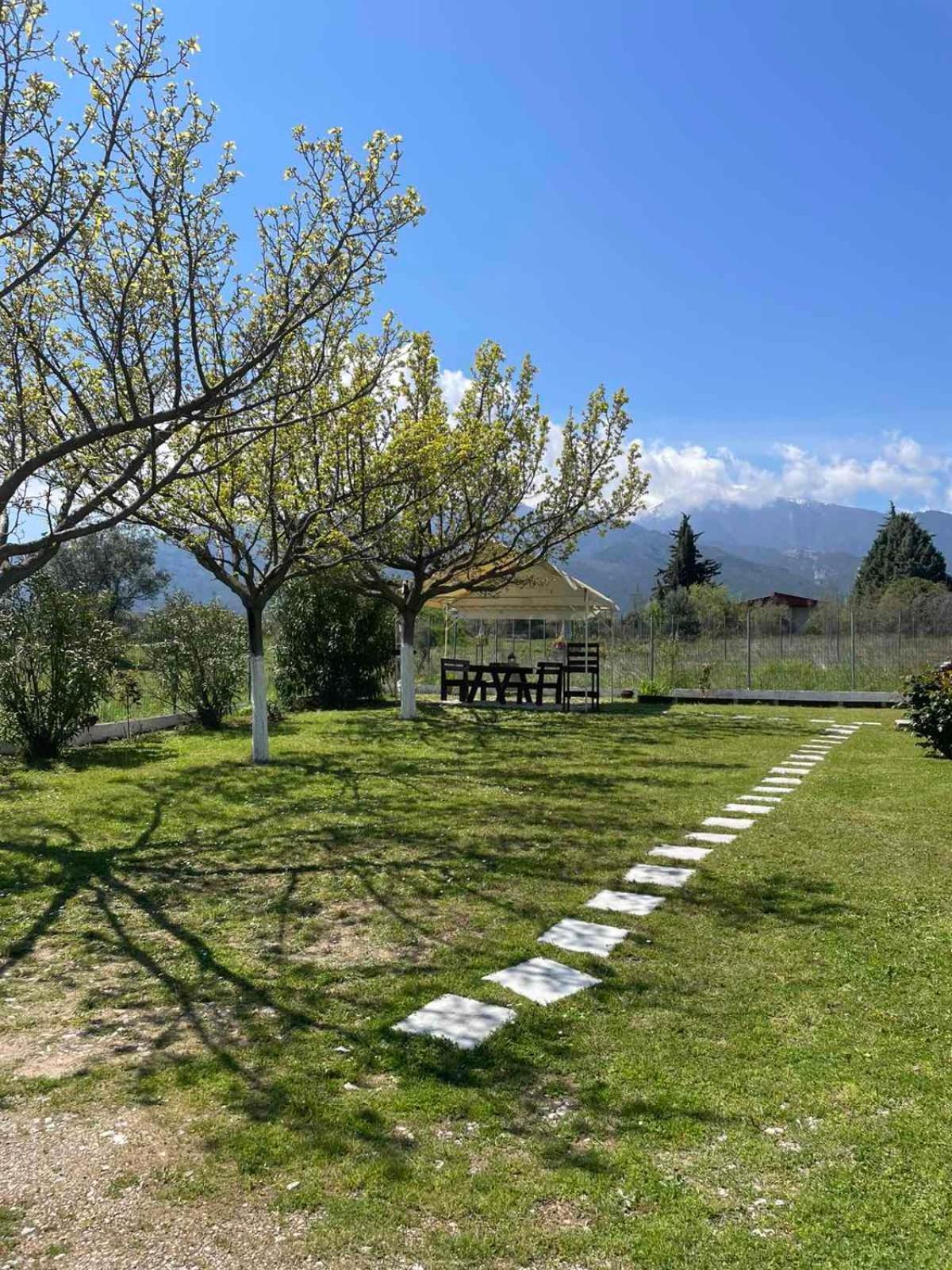 Cozy Villa Litochoro Zewnętrze zdjęcie